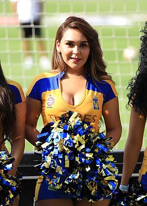 tigres edecan 